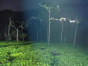 Un jardín fuera de Vythiri Stream View