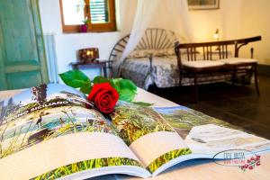 un livre ouvert sur une table avec une rose dessus dans l'établissement Case Brizza, à Casale Zappulla