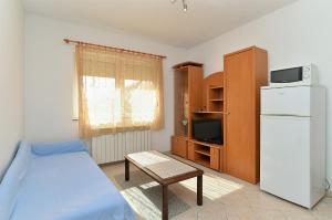 TV a/nebo společenská místnost v ubytování Apartments Edin 1359
