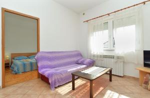 TV a/nebo společenská místnost v ubytování Apartments Edin 1359