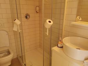 Un baño con ducha, inodoro y lavabo. en Cube studio by the river (with free bike rental), en Liubliana 6 fotos más