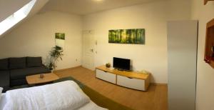 a living room with a couch and a tv on a table at Apartmenthaus Am Bahnhof in Detmold