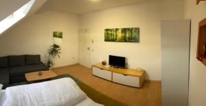 Μια τηλεόραση ή/και κέντρο ψυχαγωγίας στο Apartmenthaus Am Bahnhof