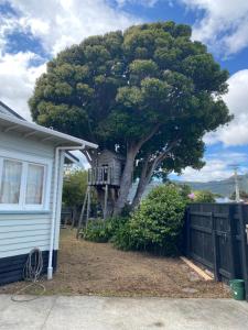 a house with a tree with a deck on it at Knights rd beauty in Lower Hutt