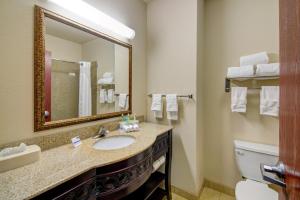a bathroom with a sink and a toilet and a mirror at Country Inn & Suites by Radisson, Terrell in Terrell +31 photos