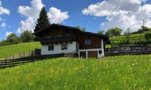 una casa en una colina en un campo de hierba en Paradise on Mountain, en Taxenbach
