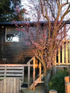 ein winziges Haus mit einem Baum davor in der Unterkunft The Cherry Tree Gypsy Wagon in Banbury