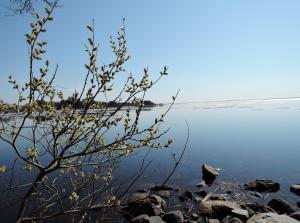 Gallery image of Hotelli Niittyranta in Niittylahti