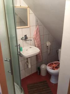 A bathroom at Agro privat