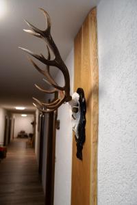 Fotografie z fotogalerie ubytování Landpension Pferdekoppel - B&B - Self Checkin v destinaci Seewald
