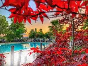 a pool with red leaves in front of a resort at International Glamping Lago Di Bracciano in Trevignano Romano