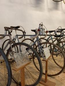 Jazda na bicykli v okolí ubytovania Agriturismomillefiori