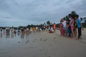Hosté ubytování Angsana Bintan