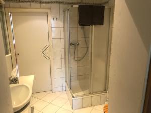 a bathroom with a shower with a sink and a toilet at Ferienwohnung Weserbergland Haus Nr 29 Erdgeschoss in Deensen +7 photos