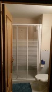 uma casa de banho com um WC e uma cabina de duche em vidro. em Habitación individual con baño privado en casa particular em Madri