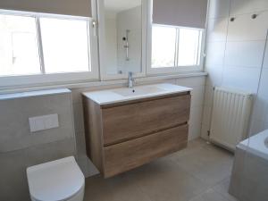 Ένα μπάνιο στο Villa Buiten 41 +31 φωτογραφίες