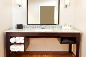 a bathroom with a sink and a mirror at Holiday Inn Express Hotel & Suites Huntsville West - Research Park, an IHG Hotel in Huntsville