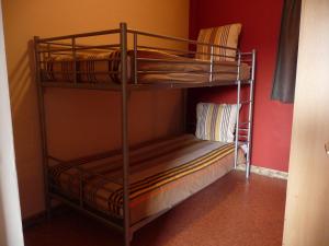 BocholtにあるDe Alpacaboerderijの二段ベッド2組が備わる客室です。
