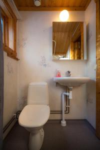 a bathroom with a toilet and a sink at Ulvö Lakeside Resort in Ulvöhamn