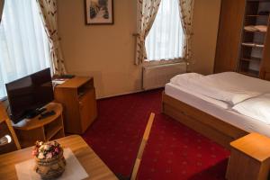 TV a/nebo společenská místnost v ubytování Hotel Roháč