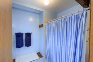 a bathroom with a shower with a blue shower curtain at Katsos Ranch Retreat in Vail +23 photos