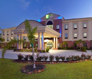 a hotel with a palm tree in front of a building at Holiday Inn Express & Suites Deer Park, an IHG Hotel in Deer Park