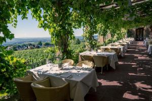 a row of tables in a vineyard with wine glasses at Burg & Gästehaus by Schwarzenstein in Geisenheim