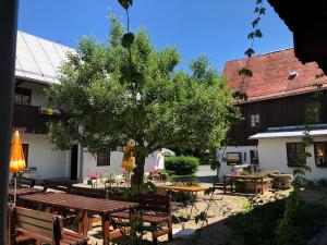 patio ze stołami i drzewem przed budynkiem w obiekcie Pension Untere Rauner Muehle w mieście Bad Brambach