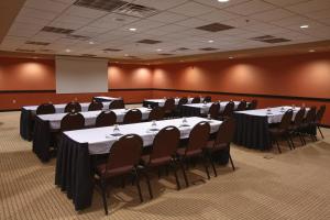 Holiday Inn St. Paul Northeast - Lake Elmo by IHG商务区和/或会议室