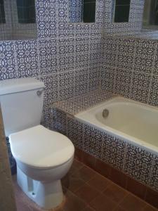 a bathroom with a toilet and a bath tub at Nour El Balad in Luxor