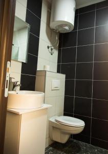 a bathroom with a toilet and a sink and a mirror at Apartmani Zrenjanin in Zrenjanin