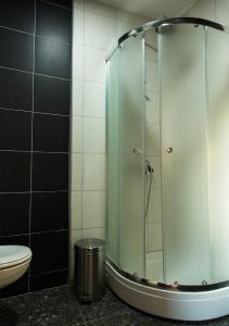 a glass shower in a bathroom with a toilet at Apartmani Zrenjanin in Zrenjanin