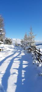 フンダタにあるVila Theaの雪に覆われた木道