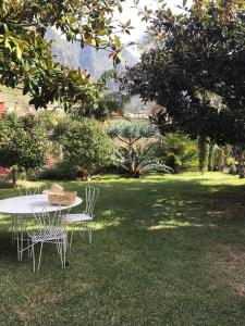 een tafel en stoelen in het gras in een tuin bij Palheirinho da Camélia in São Vicente