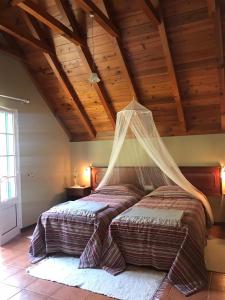 a bedroom with a bed with a mosquito net at Casa da Camelia in São Vicente