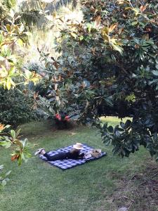 a person laying on a blanket under a tree at Casa da Camelia in São Vicente