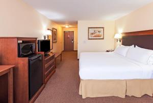 Postel nebo postele na pokoji v ubytování Holiday Inn Express & Suites - Laredo-Event Center Area by IHG
