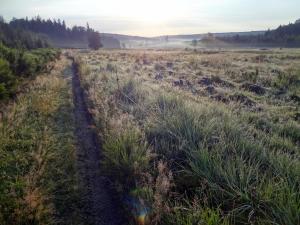 Loodusmaastik hotelli lähedal