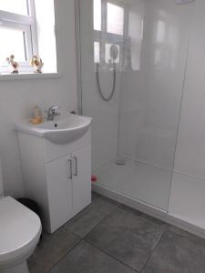 a bathroom with a shower and a sink and a toilet at Rosedene in Mablethorpe