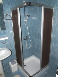 a bathroom with a shower with a toilet and a sink at Vila Marija-Roza in Drage