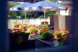 Zahrada ubytování Bodensee-Hotel Kreuz