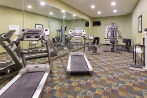 Fitness centrum a/nebo fitness zařízení v ubytování Holiday Inn Express Hotel & Suites Alvarado by IHG