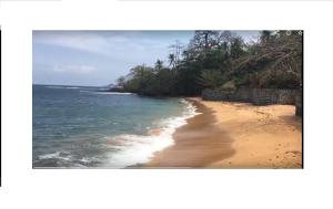 Una foto de una playa con el océano en Domus Guesthouse en Santana