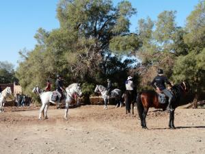 a group of people riding horses on a dirt road at Dar Nekhla in Zagora