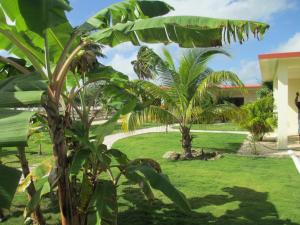 a green yard with two palm trees and a building at Royale Manor in Corozal