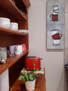 a kitchen with a shelf with pots and a plant at Goedehoop in Somerset West