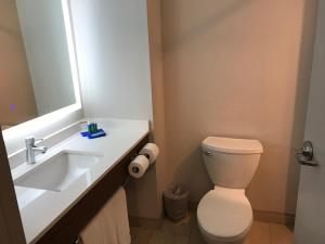 a bathroom with a sink and a toilet and a mirror at Holiday Inn Express Orlando - South Davenport, an IHG Hotel in Davenport