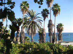 a group of palm trees on a beach with the ocean at Alex - Nancy Apartments - Zaga Beach in Koroni