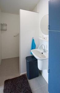 uma casa de banho branca com um lavatório e um espelho em Bed & Breakfast de Lindevallei em Oldeberkoop