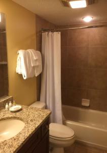 y baño con aseo, lavabo y ducha. en Villas Of Amelia Island en Amelia Island